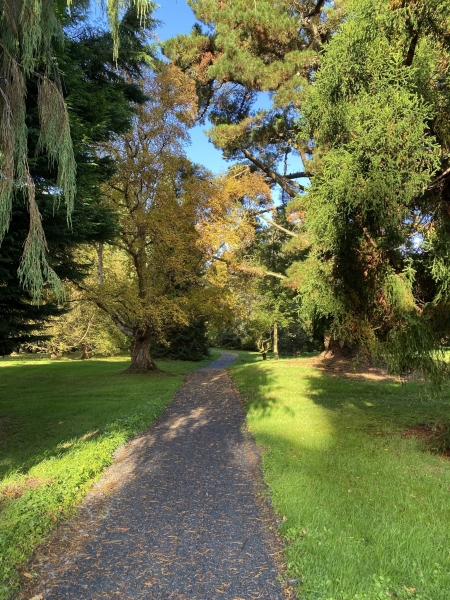 Brook Hall Estate & Gardens